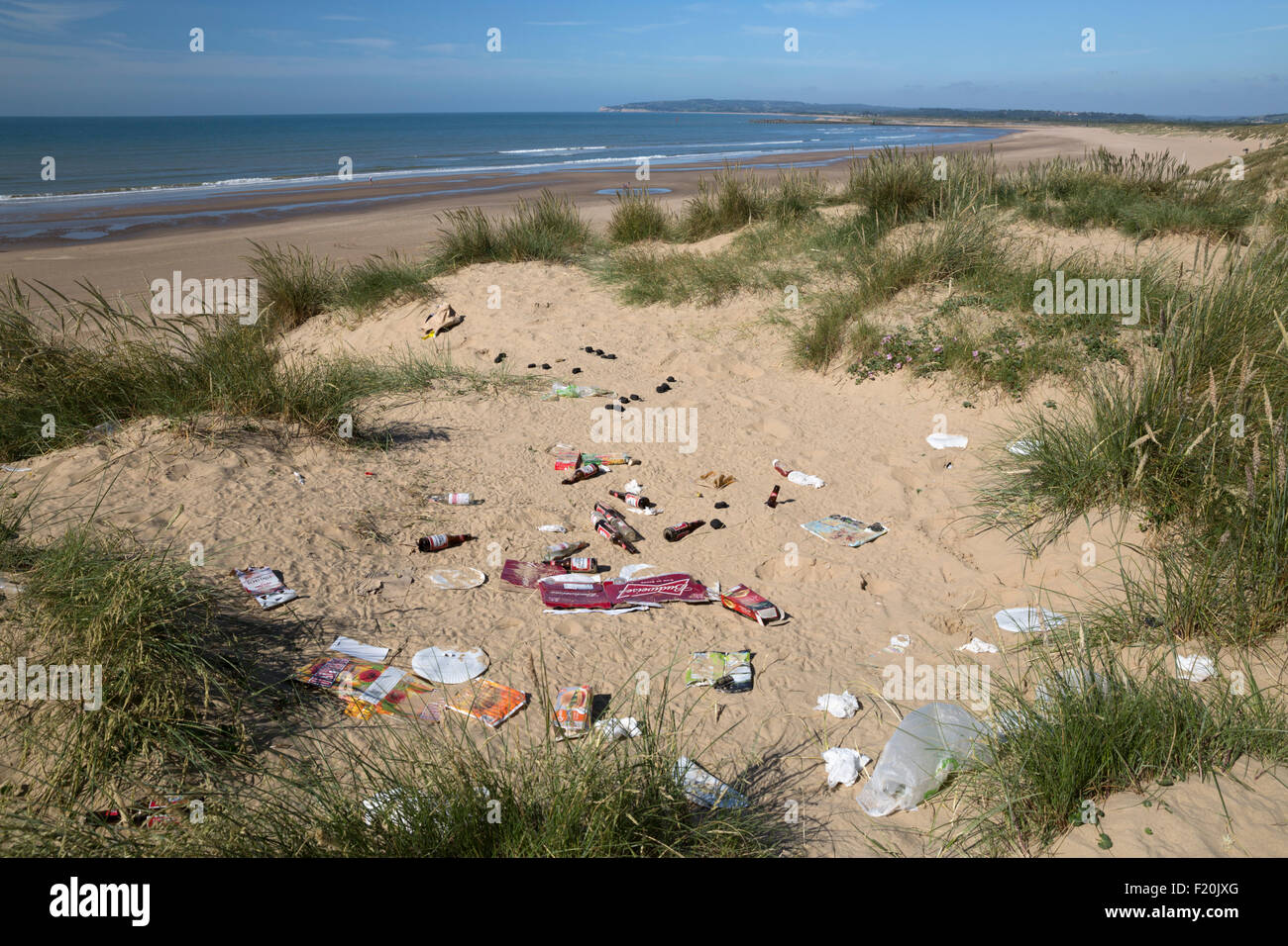 Jeter la litière à beauty spot, Camber Sands, carrossage, près de Rye, East Sussex, Angleterre, Royaume-Uni, Europe Banque D'Images