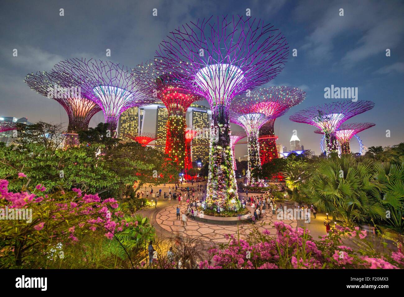 Marina Bay, Singapour, jardin par la baie, jardin botanique, Supertree Grove Banque D'Images