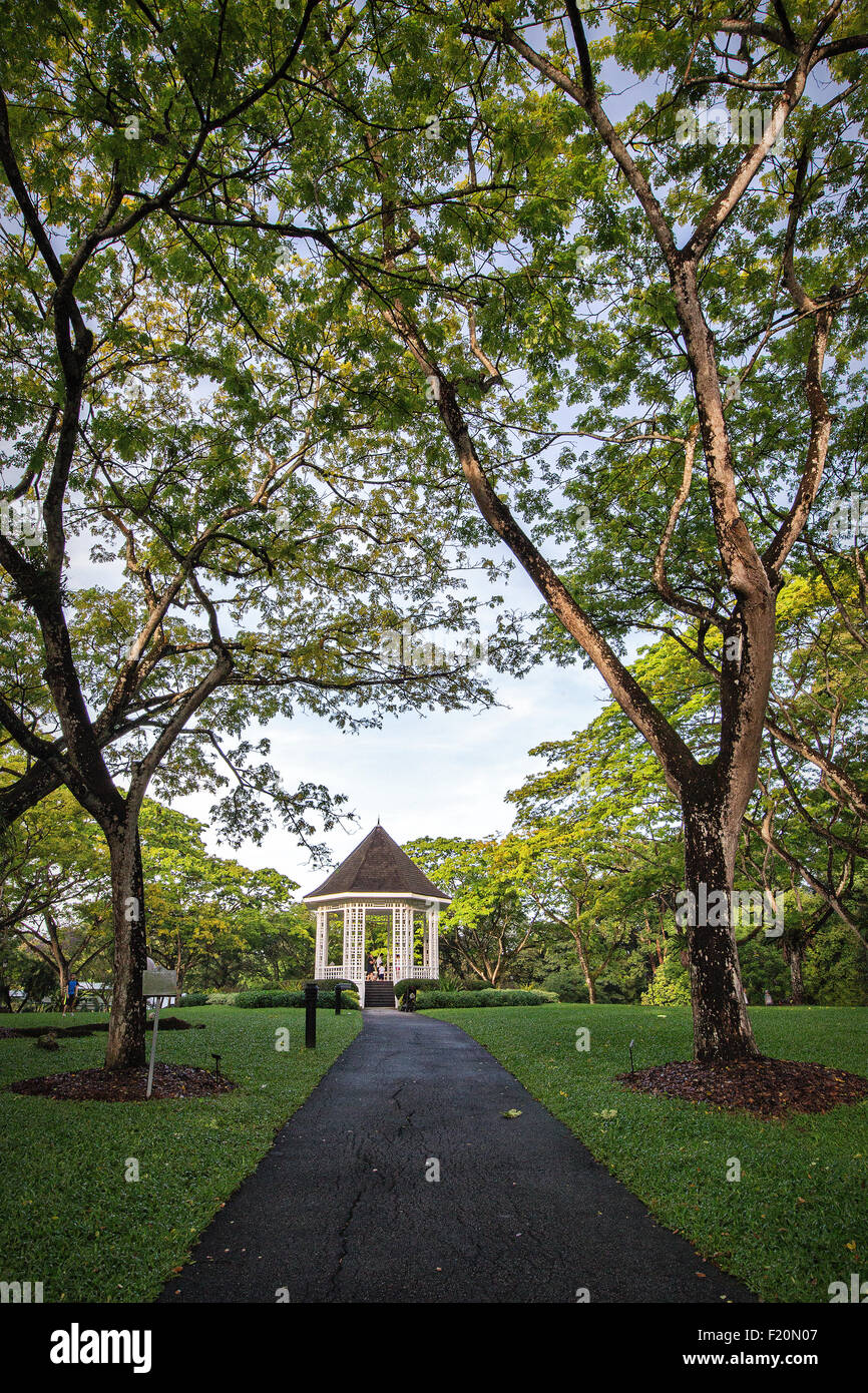 Le jardin botanique de Singapour Banque D'Images