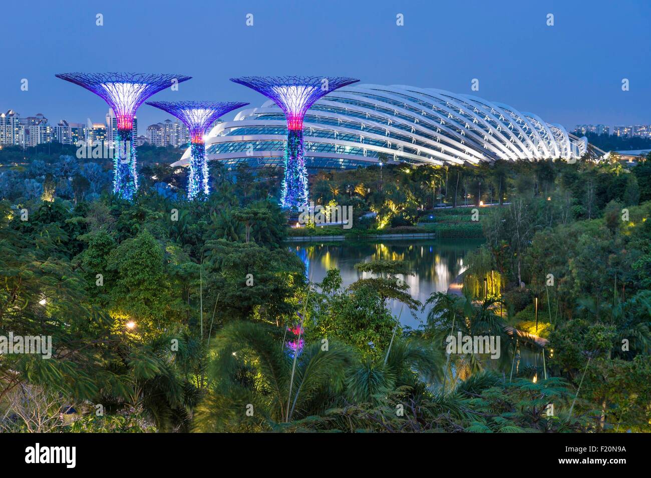 Marina Bay, Singapour, jardin par la baie, jardin botanique, Supertree Grove Banque D'Images