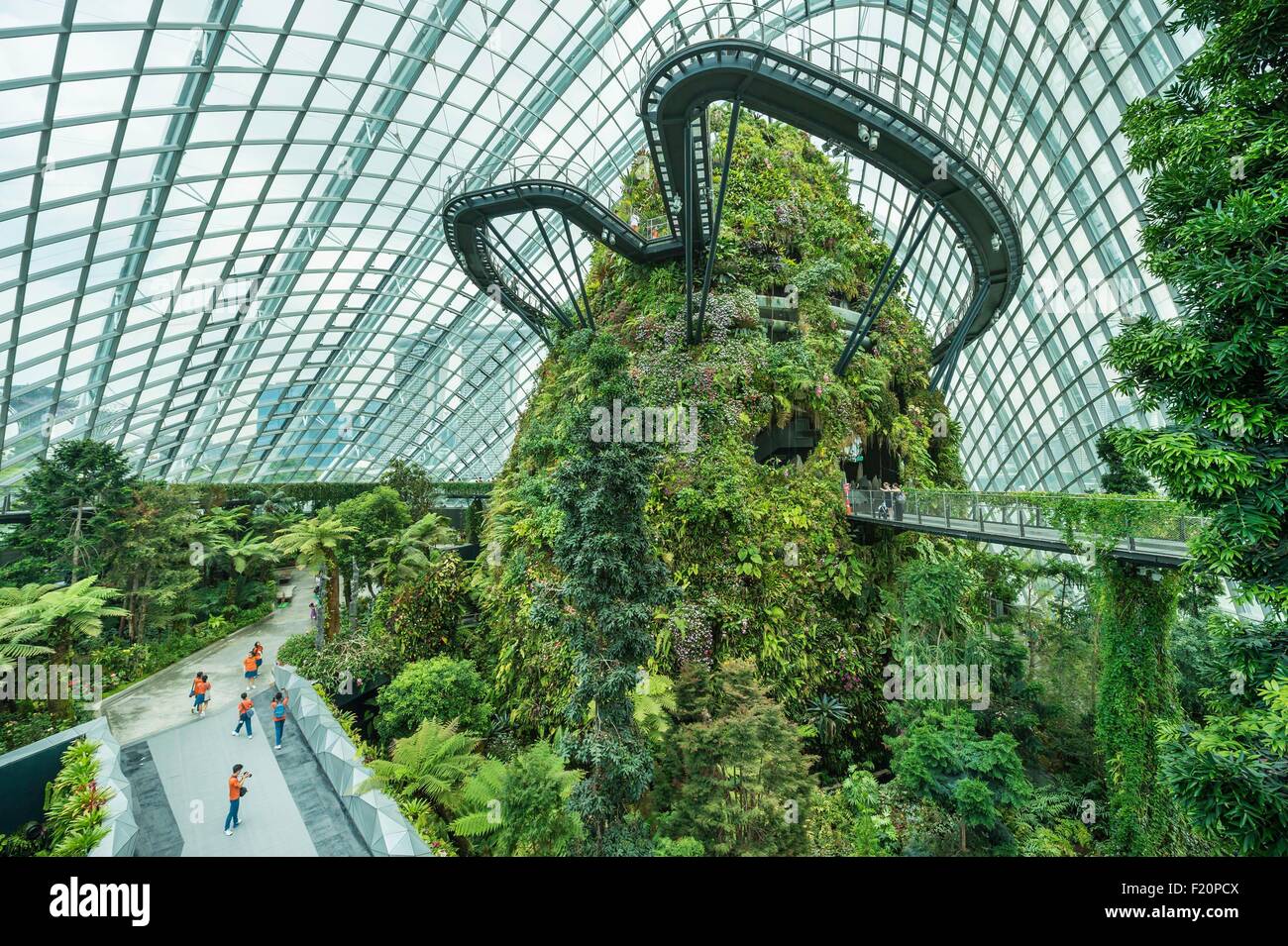 Marina Bay, Singapour, jardin par la baie, Cloud Forest, jardin botanique, la plus haute cascade artificielle dans le monde Banque D'Images