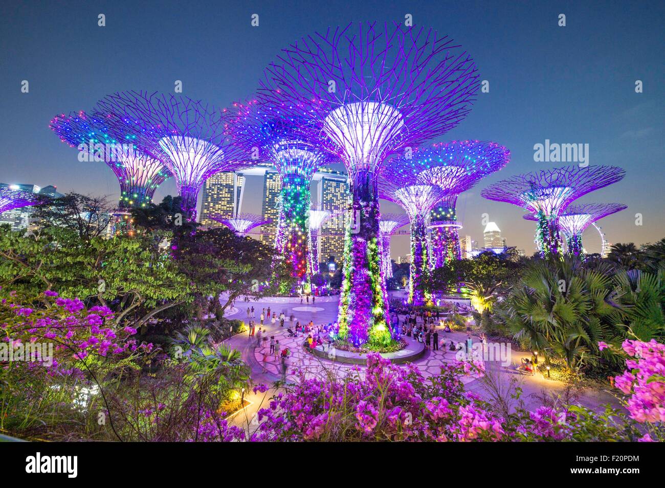 Marina Bay, Singapour, jardin par la baie, jardin botanique, Supertree Grove Banque D'Images