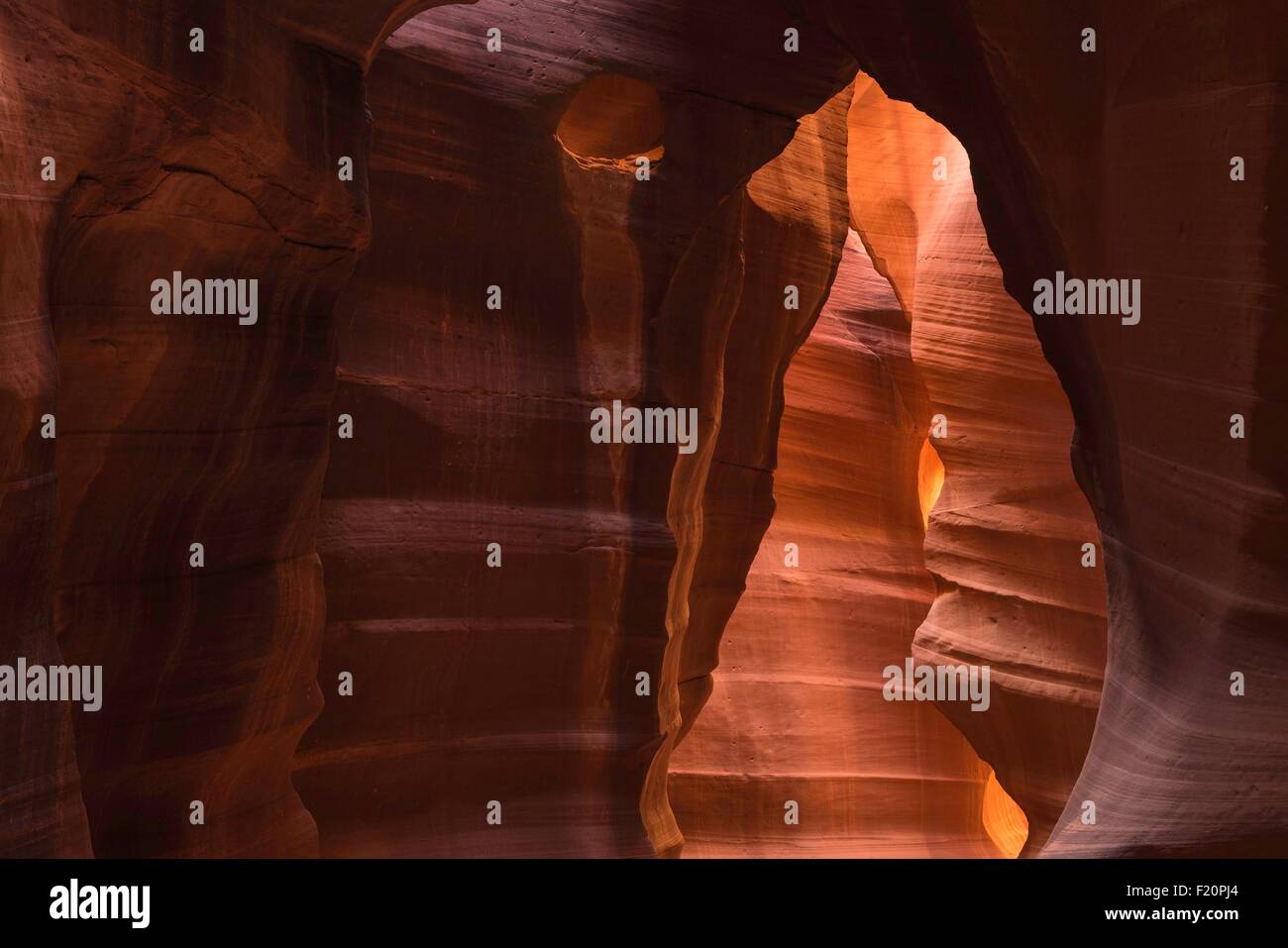 United States, Arizona, Navajo Nation, Page, Upper Antelope Canyon Banque D'Images
