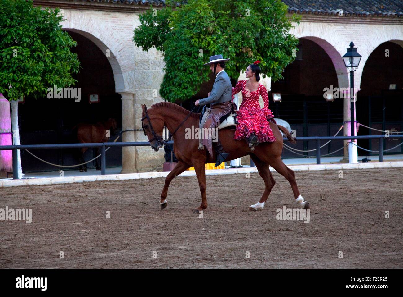 Espagne, Andalousie, Cordoue, centre historique classé au Patrimoine Mondial par l'UNESCO, les chevaux à l'Caballerizas Reales, Écuries Royales Banque D'Images