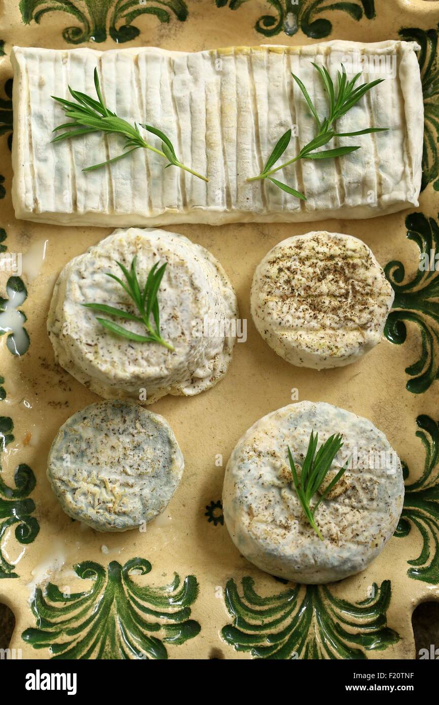 La France, Vaucluse, le Beaucet, producteur de fromage de chèvre Banque D'Images