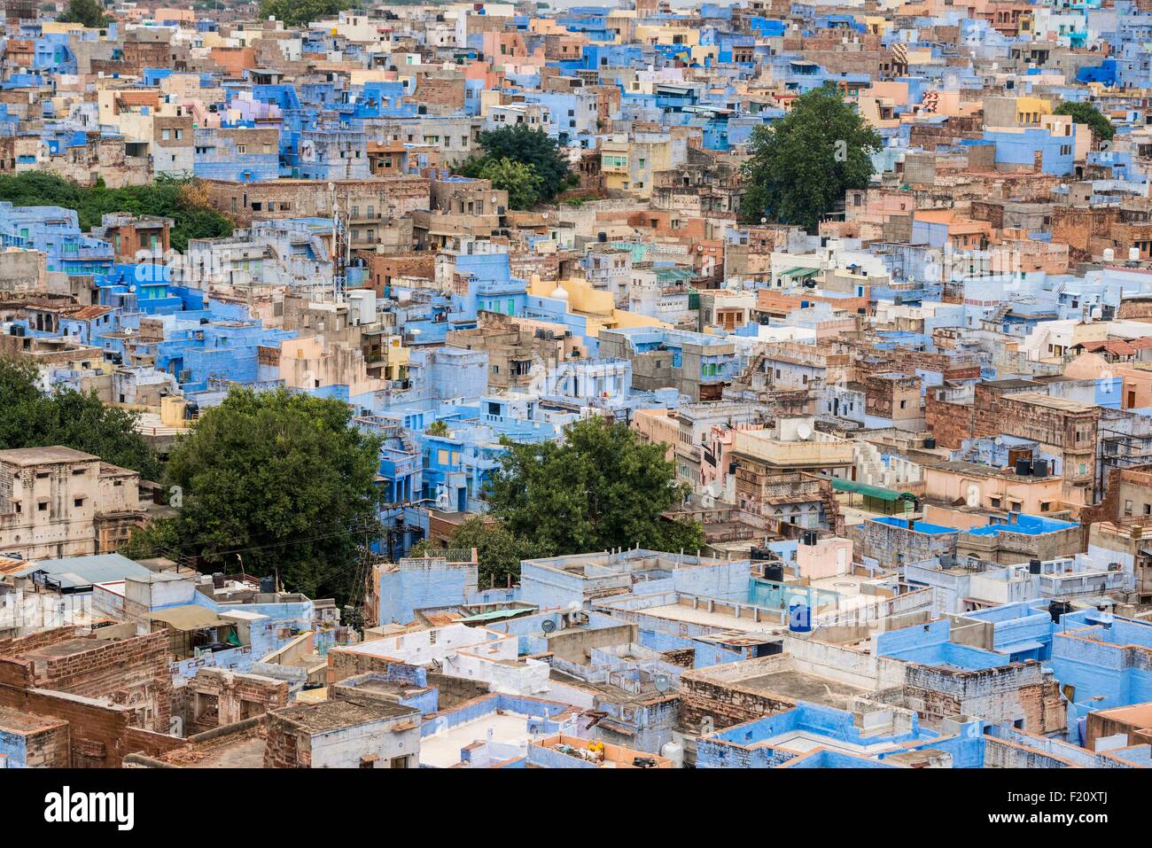 L'Inde, Rajasthan, Jodhpur, la ville bleue Banque D'Images