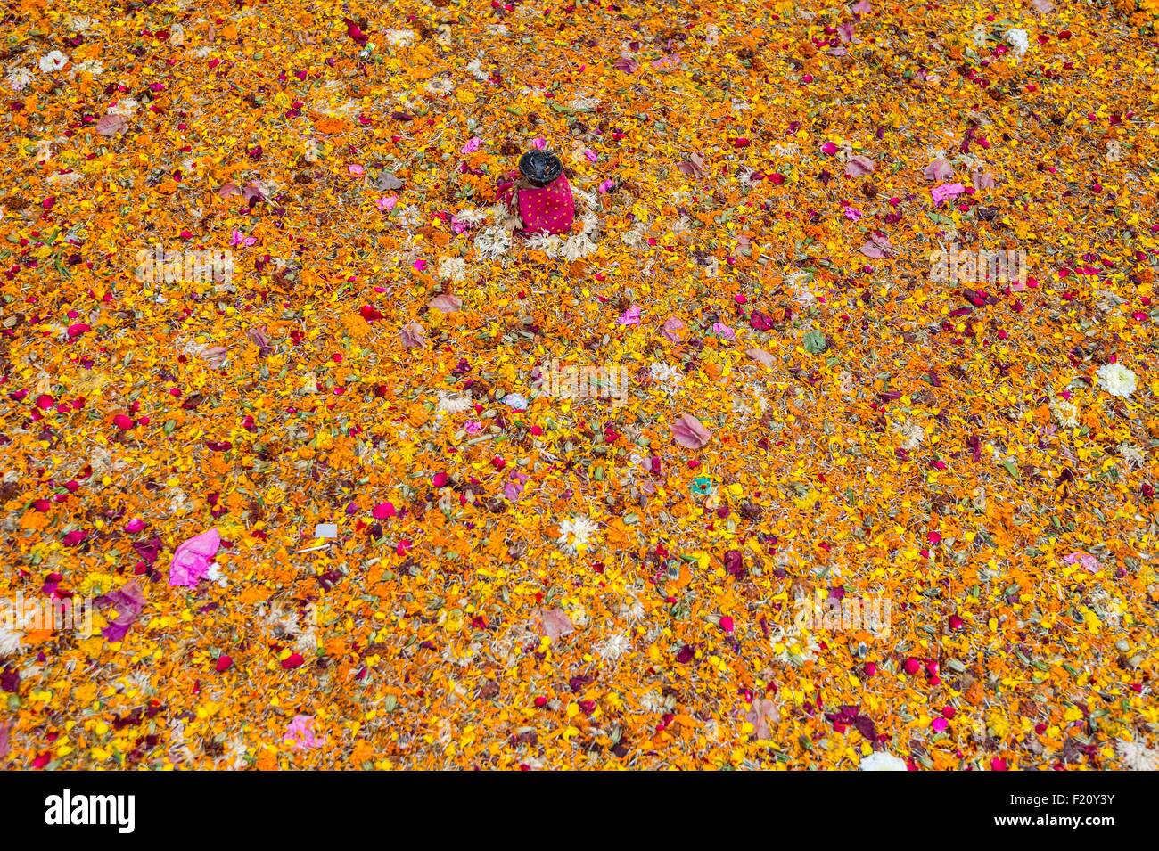 L'Inde, Rajasthan, Udaipur, décoration florale sur le sol devant un temple Banque D'Images