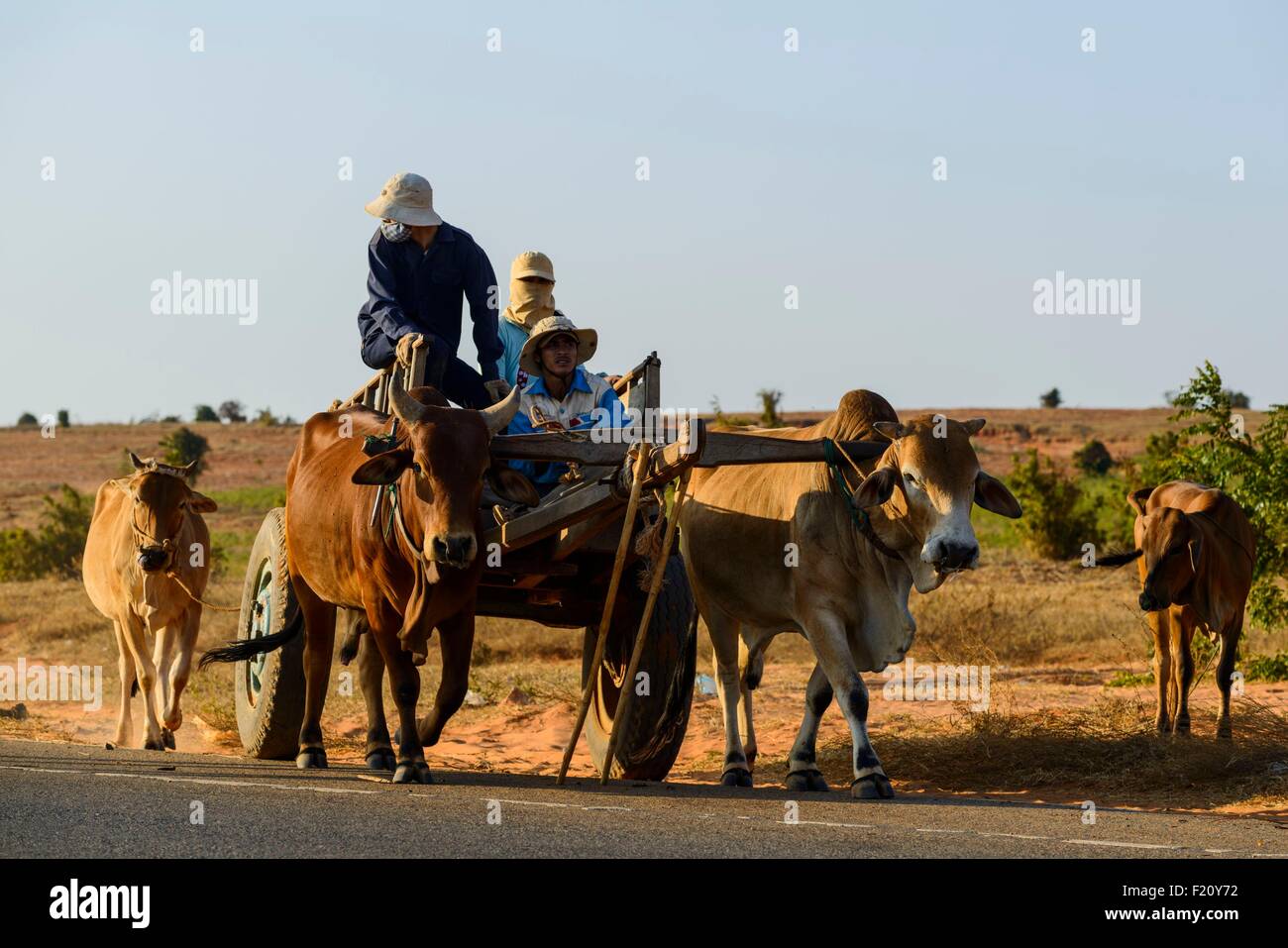 Sable rouge Banque de photographies et d’images à haute résolution - Alamy