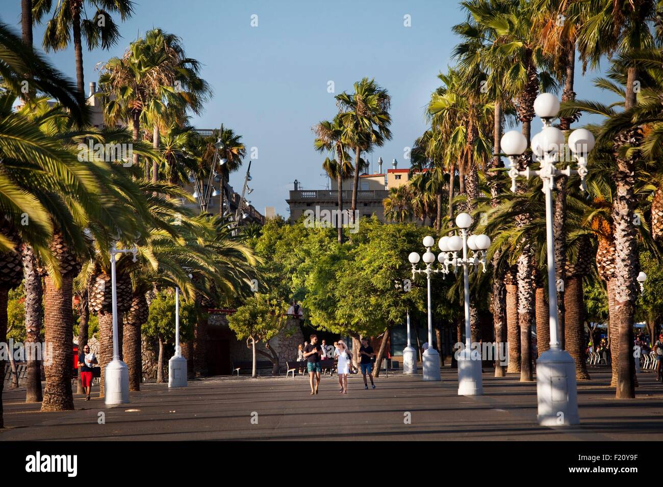 Espagne, Catalogne, Barcelone, le Vieux Port, Vieux Port, Port Vell, Moll de la Fusta Banque D'Images