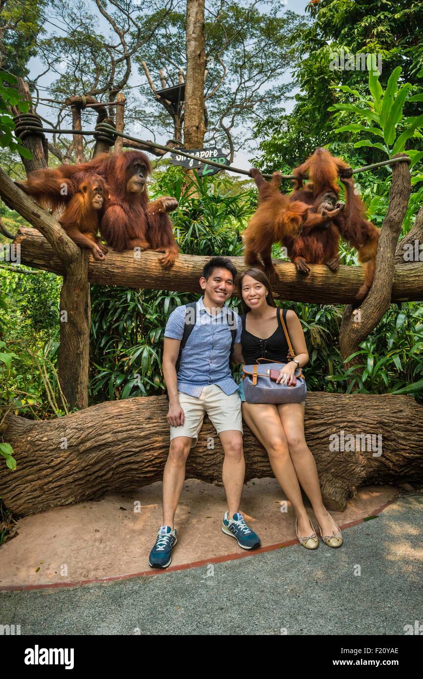 Singapore, Singapore Zoological Gardens, le Zoo, les touristes obtenir Mandai une photo avec les orangs-outans (Pongo Bornéo) Banque D'Images