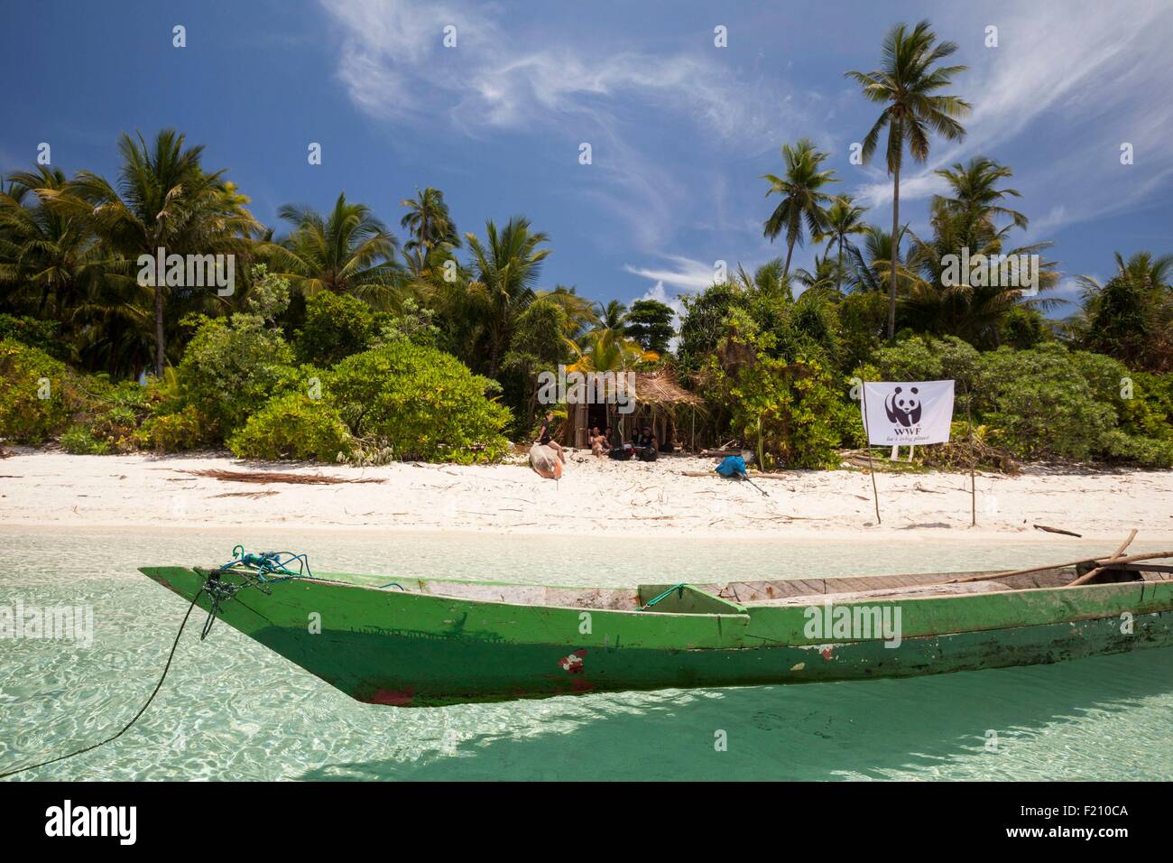 L'Indonésie, de la province des Moluques, à l'Est, l'île de Seram, Koon Koon sur l'équipe de WWF island Banque D'Images