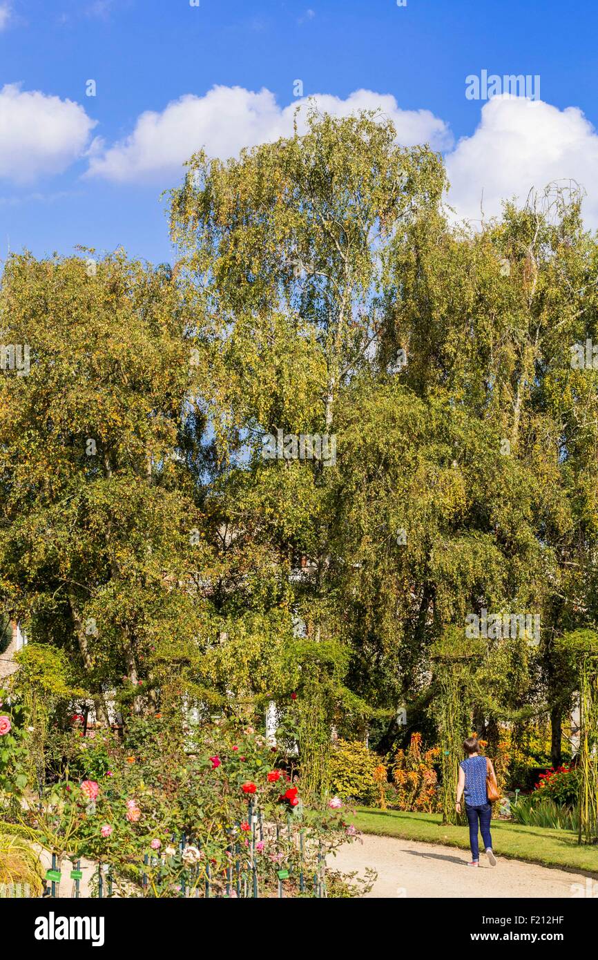 La France, de l'Ille et Vilaine, Rennes, du parc du Thabor, jardin public datant du 18e siècle Banque D'Images