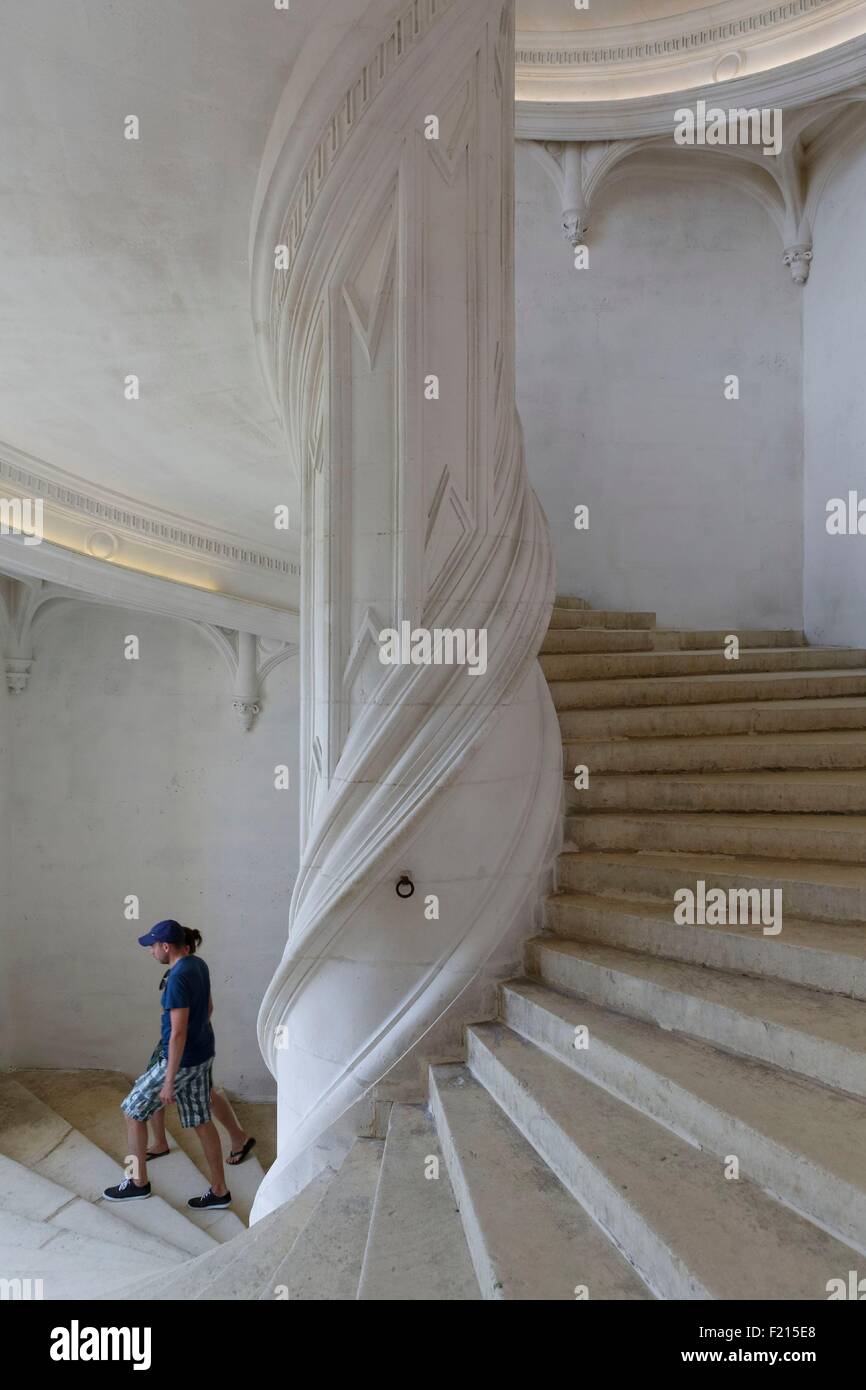 En France En Charente La Rochefoucauld Chateau De La Rochefoucauld Grand Escalier En Spirale Qui Peut Avoir Ete Concu Par Leonardo Da Vinci Photo Stock Alamy