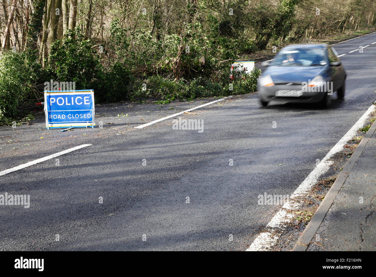 Transports, route, voitures, le blocage de l'arbre 4 voies après la tempête. Banque D'Images
