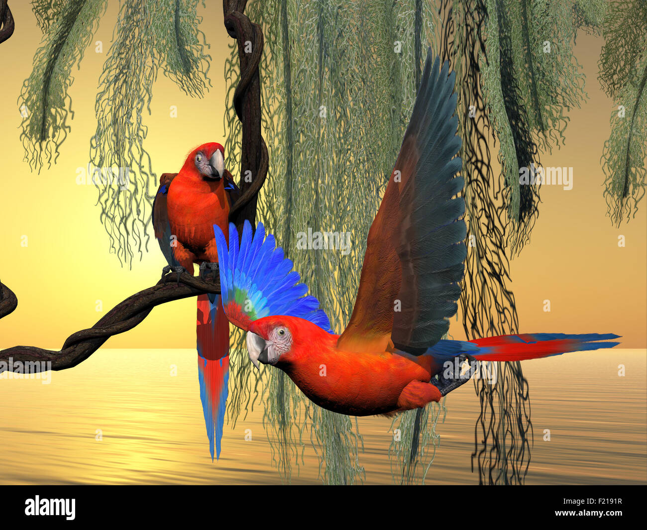 L'ara rouge et vert est une espèce en voie de disparition de Parrot et on le trouve en Amérique du Sud. Banque D'Images