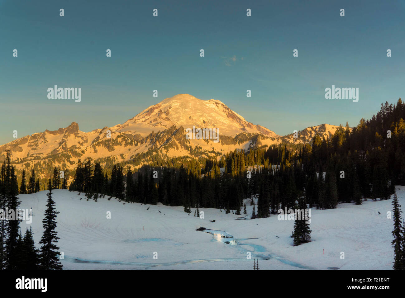 Tôt le matin, au lac Tipsoo Mt. Rainier, Washington. Banque D'Images