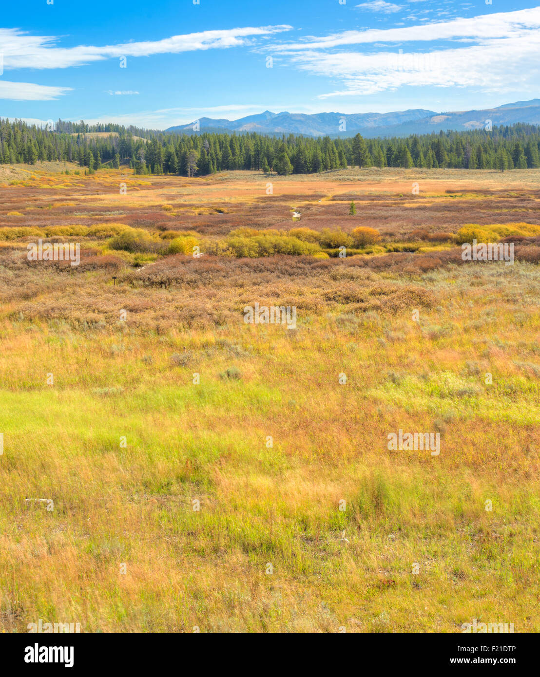 Vaste paysage coloré et dans le Parc National de Yellowstone. Banque D'Images