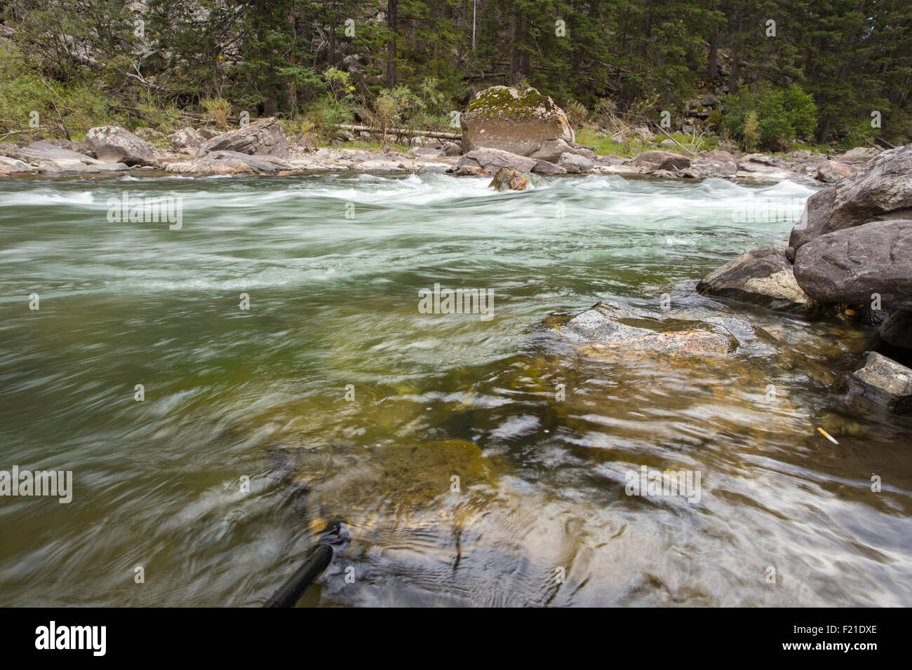 Blurred Motion, rivière qui coule dans les bois, entourée de rochers et arbres Banque D'Images