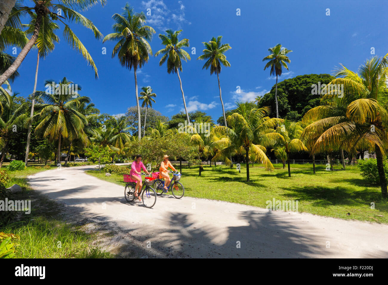 Palmiers dans le parc national, l'île de La Digue, aux Seychelles. Banque D'Images