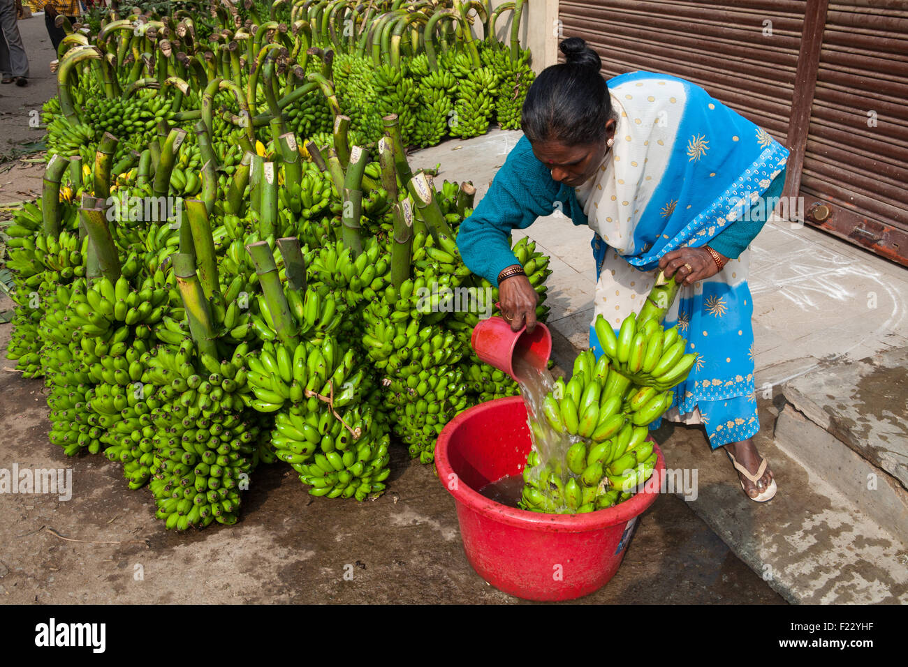Une femme se lave les bananes dans un seau à l'Devaraja market à Mysore Banque D'Images