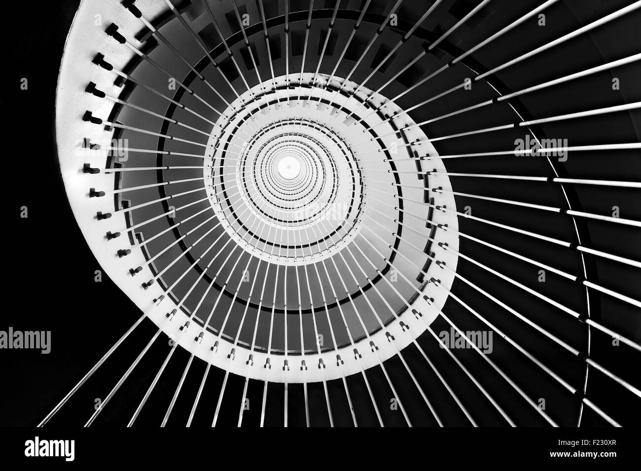 En colimaçon en noir et blanc Banque D'Images