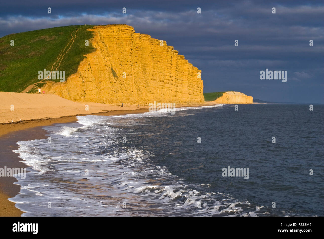 Vue sur East Cliff de West Bay, sur la côte jurassique du Dorset en Angleterre, Royaume-Uni Banque D'Images
