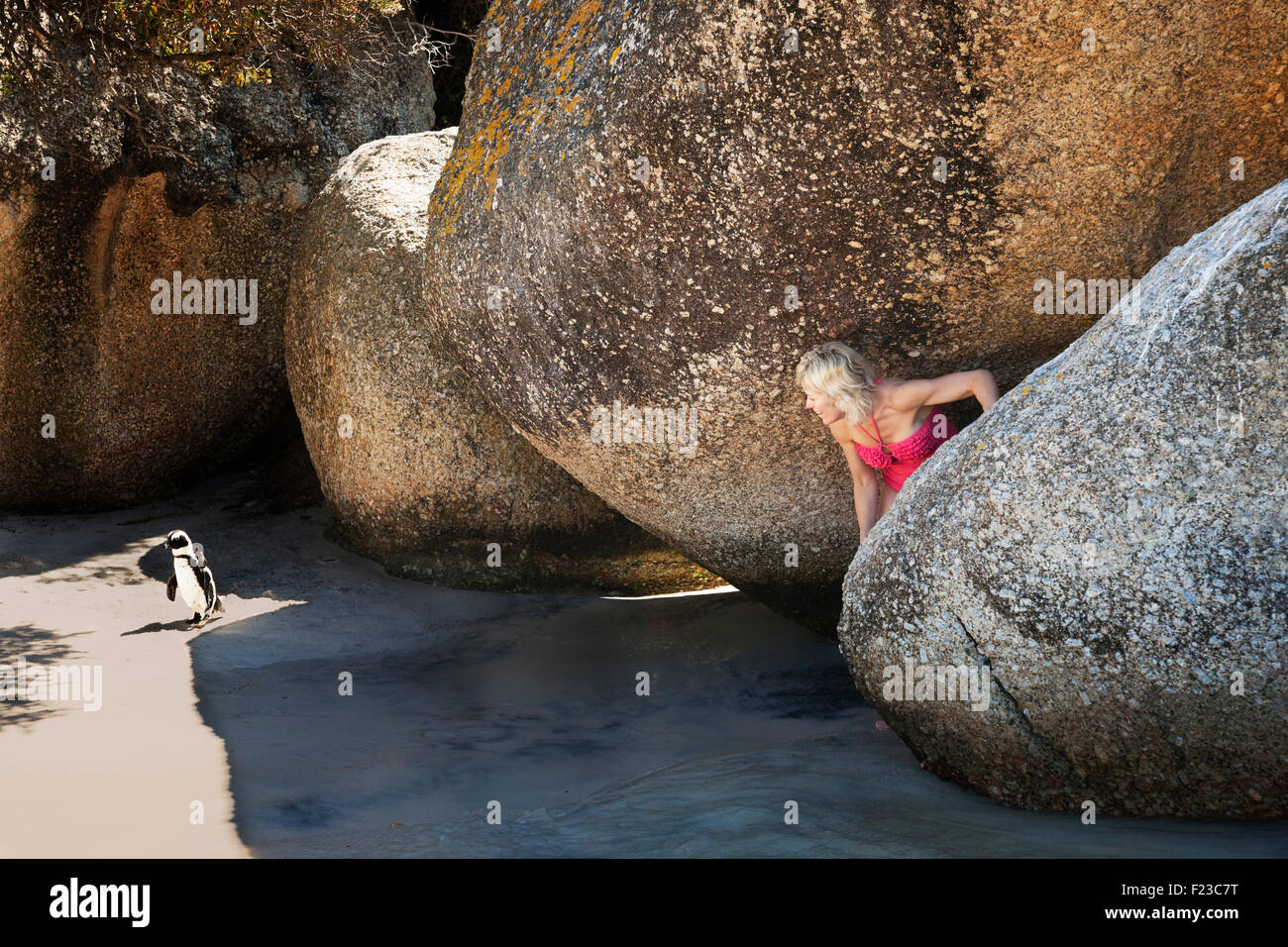 Une femme blonde se faufile entre des rochers géants de suivre un Africain Jackass Penguin, Boulders Beach, Simonstown, parc national au sud Banque D'Images