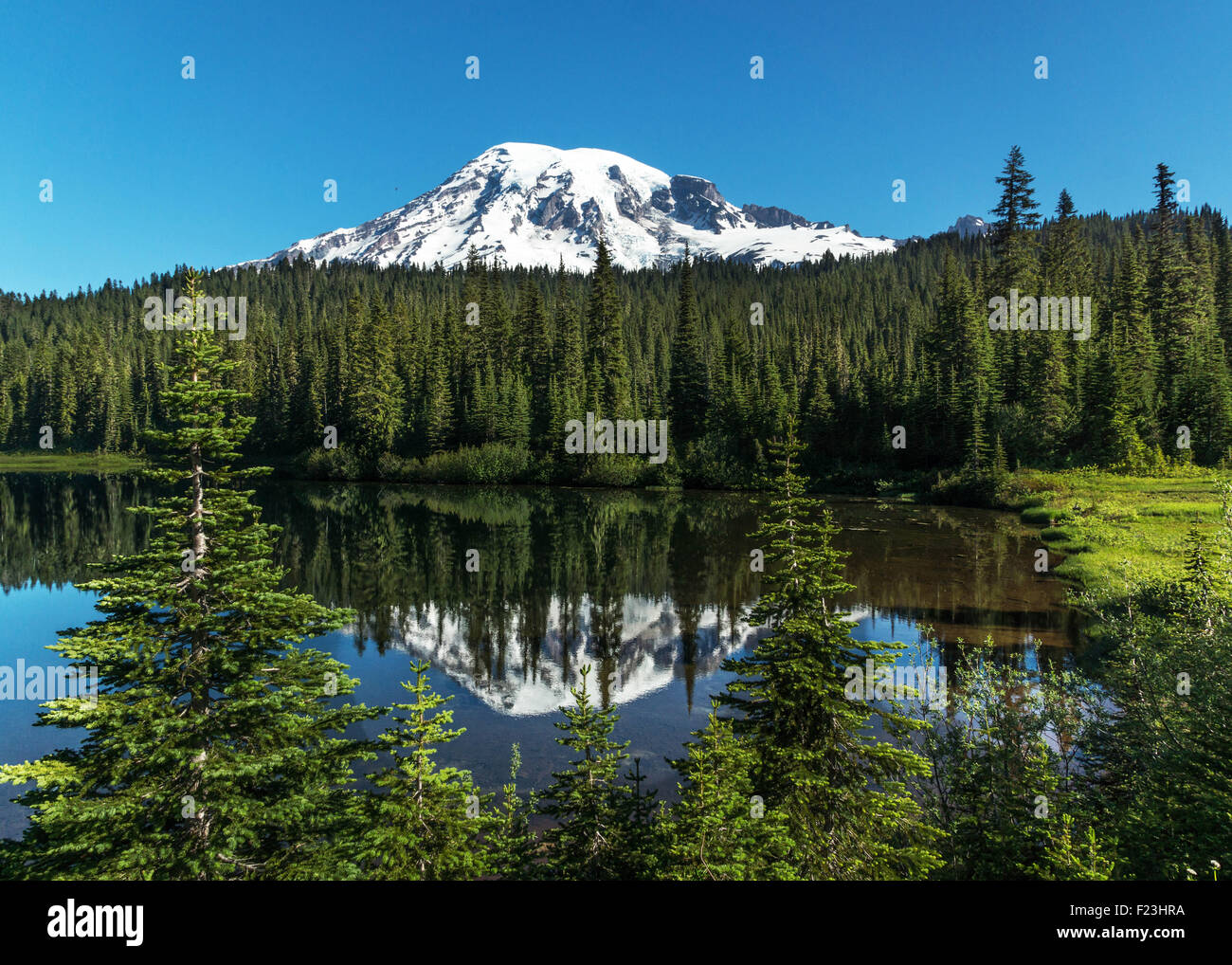 Reflet Lac, Mt. Rainier. Banque D'Images
