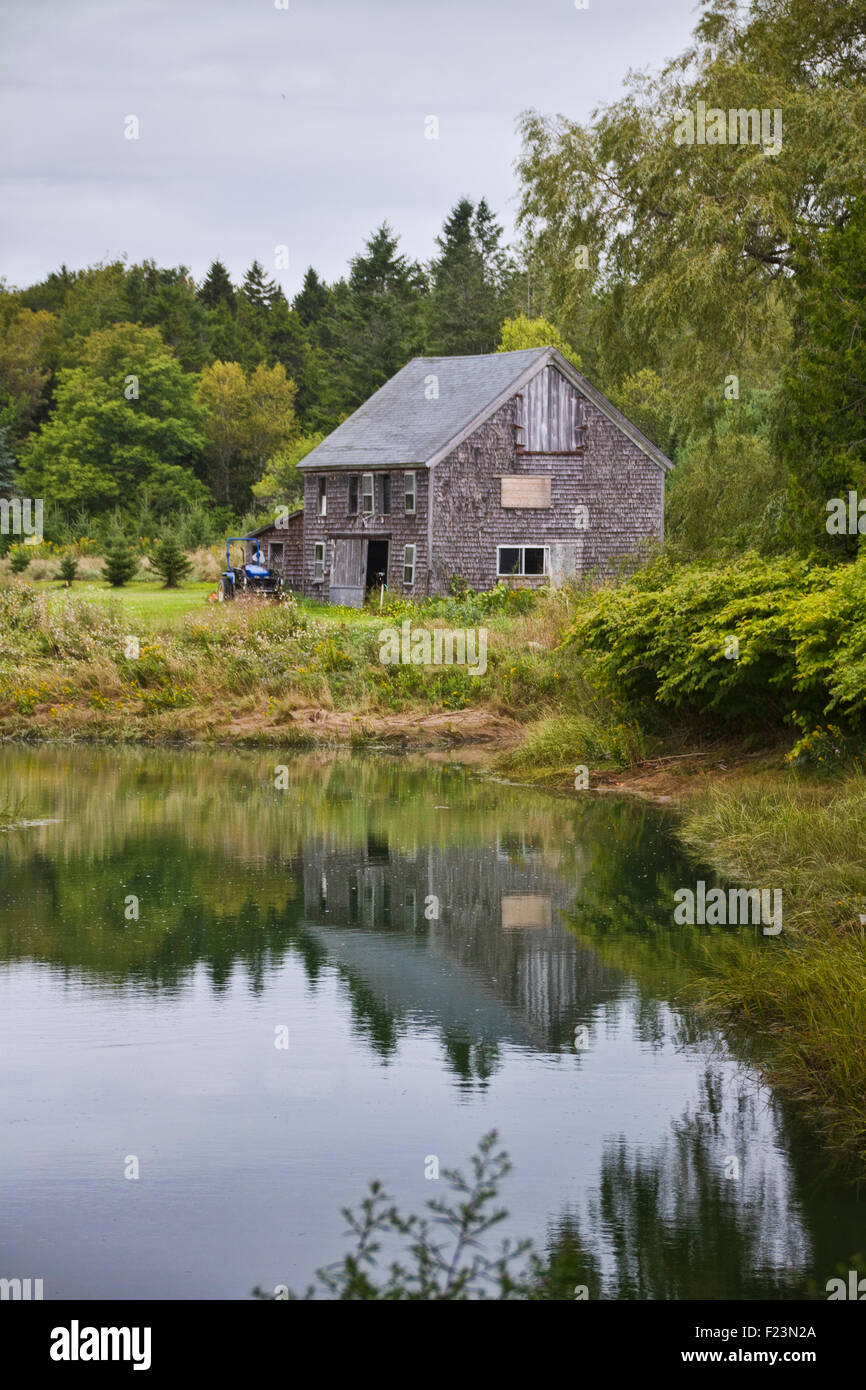 Cèdre rustique enveloppée barn niché derrière un petit étang Banque D'Images
