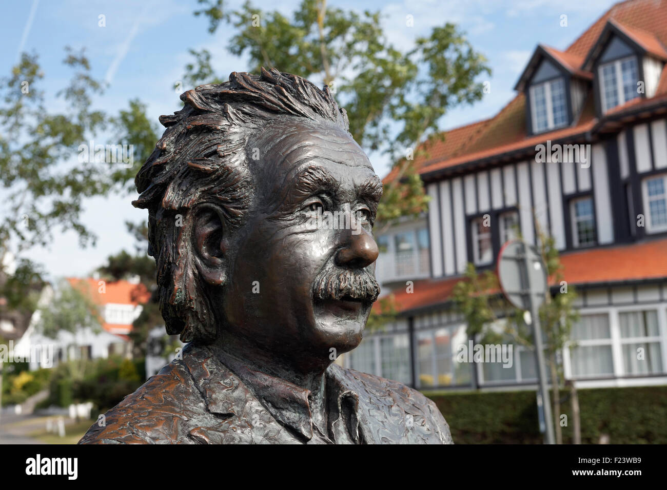 Albert Einstein, sculpture en bronze par le sculpteur Belge Johnny Werkbrouck, De Haan, West-vlaanderen, Belgique Banque D'Images