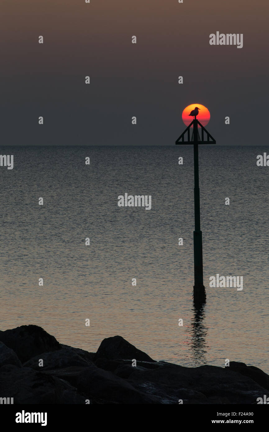 Une mouette se repose sur le marqueur de marée, silhouetté contre un paramètre rouge soleil à Borth Beach sur la baie de Cardigan. Banque D'Images