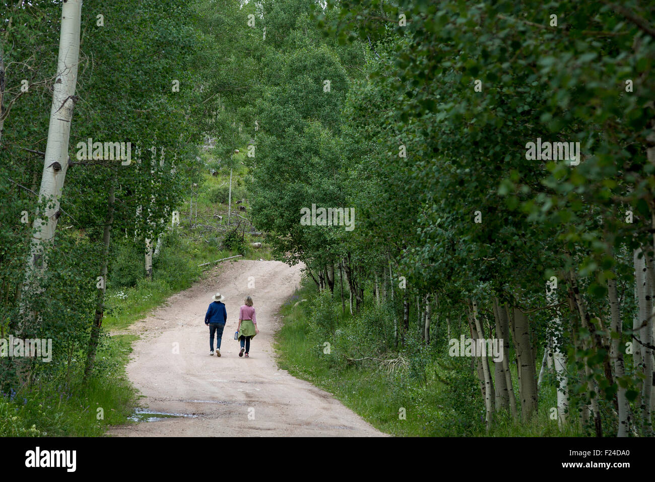Silverthorne, Colorado - deux femmes randonnée le long d'une route sur le bord de l'Eagles Nest Désert de White River National Forest. Banque D'Images