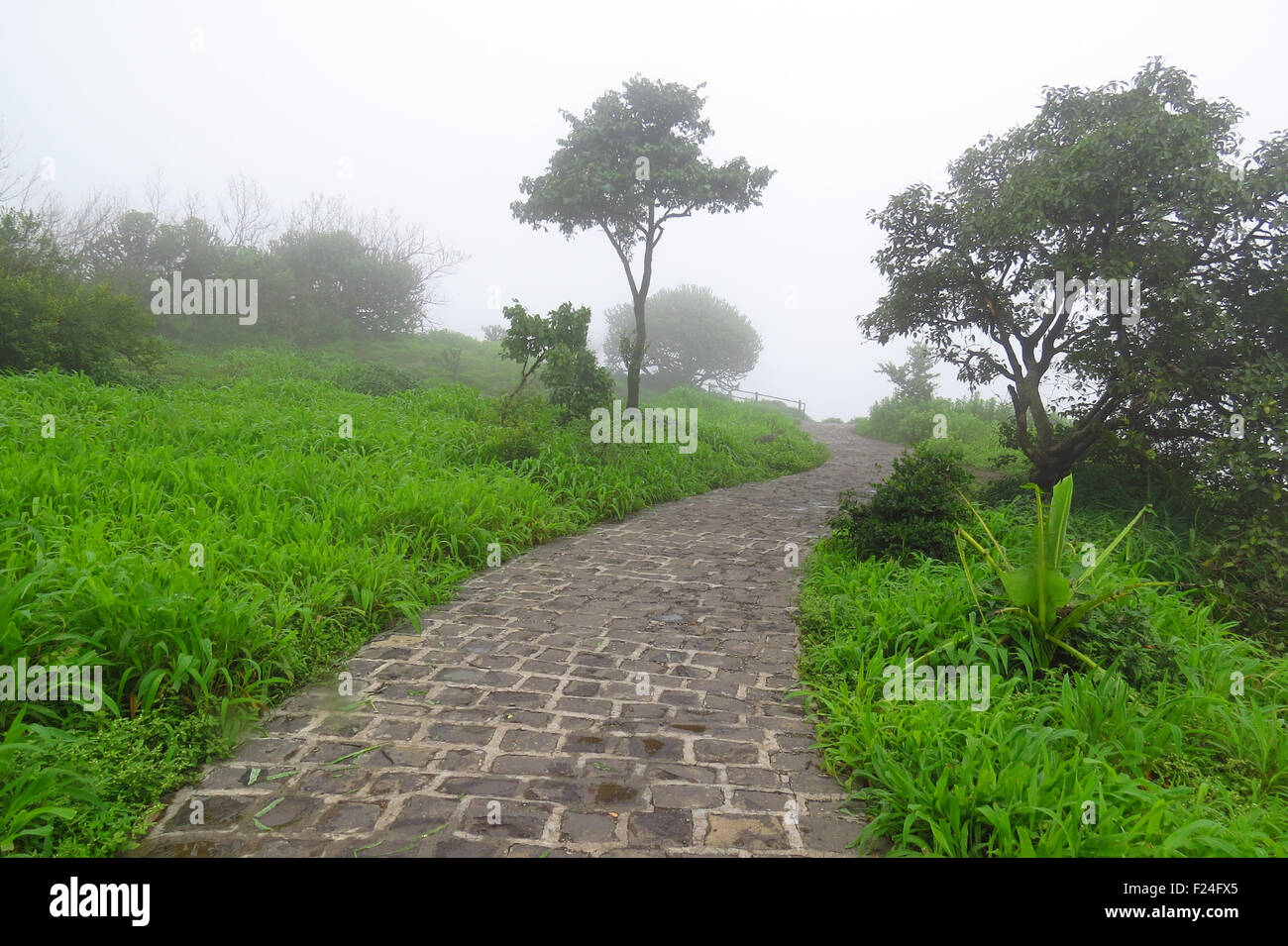 Une ancienne voie pavée sur un ancien fort pendant les moussons, couvert de nuages et pas de brouillard. Banque D'Images