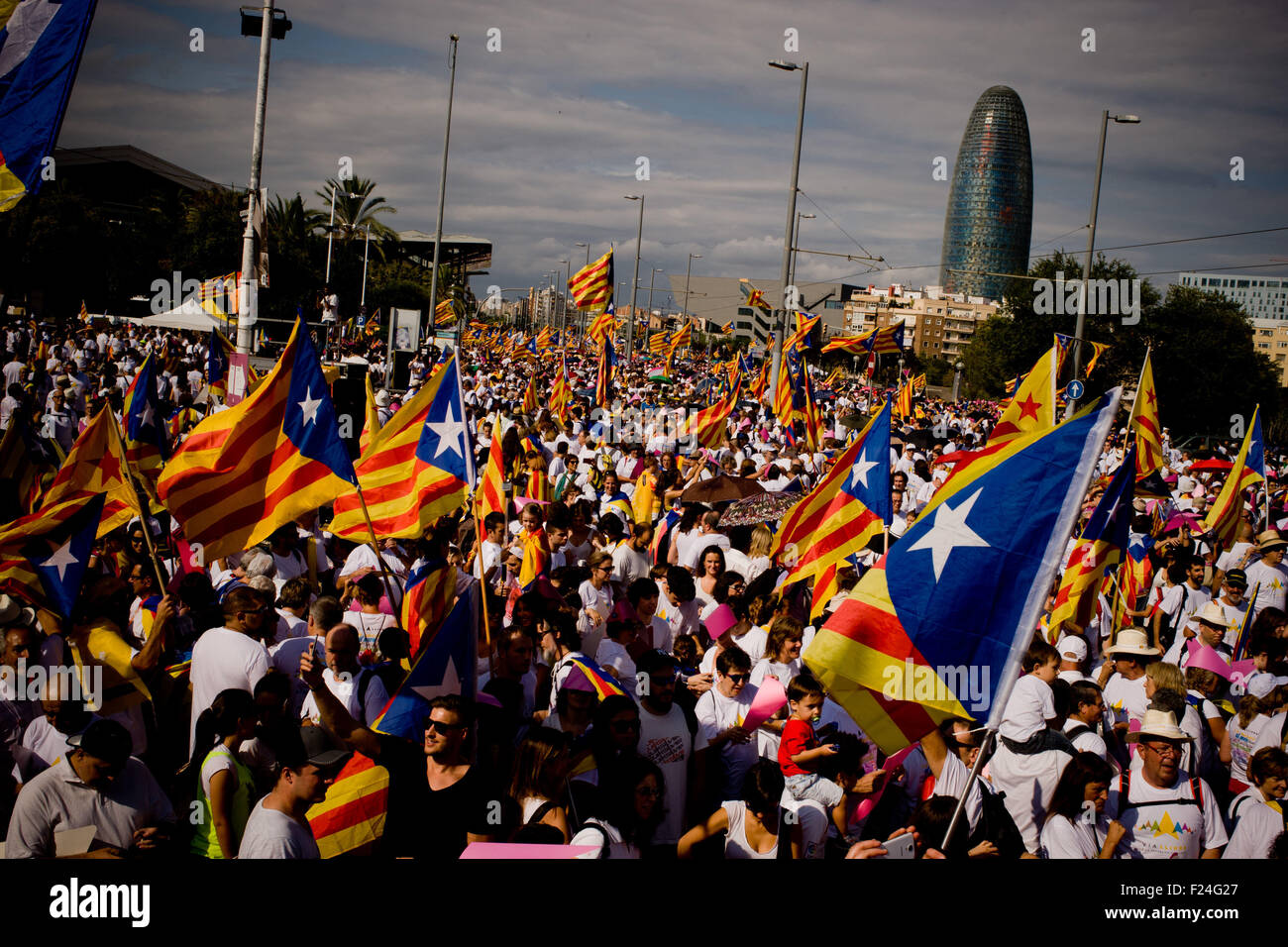 Barcelone, Catalogne, Espagne. Sep 11, 2015. Des milliers de personnes agitant ''Esteladas'' (drapeau indépendantiste catalan) dans La Meridiana Avenue de Barcelone au cours d'une manifestation de masse appelant à l'indépendance de la Catalogne le 11 septembre, 2015. Journée nationale de la Catalogne (La Diada) 2015 marque le début de la campagne pour les élections régionales catalanes prévue pour le 27 septembre. Les derniers sondages donnent une majorité absolue à l'indépendance des parties. © Jordi Boixareu/ZUMA/Alamy Fil Live News Banque D'Images