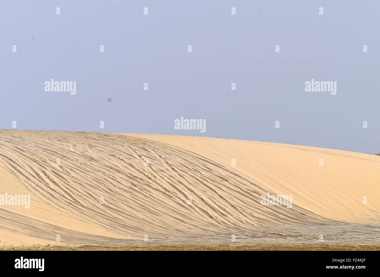 Paysage désertique à Doha, Qatar Banque D'Images