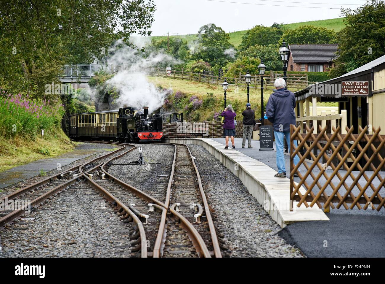 La vallée de fer de Rheidol (Gallois : Rheilffordd Rheidol mcg) est un 1 ft 11 3 1/4 po (603 mm) à voie étroite de chemin de fer à vapeur du patrimoine Banque D'Images