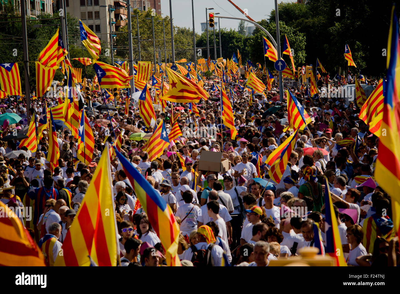 Des milliers de personnes agitant 'Esteladas' (drapeau indépendantiste catalan) dans La Meridiana Avenue de Barcelone . Banque D'Images