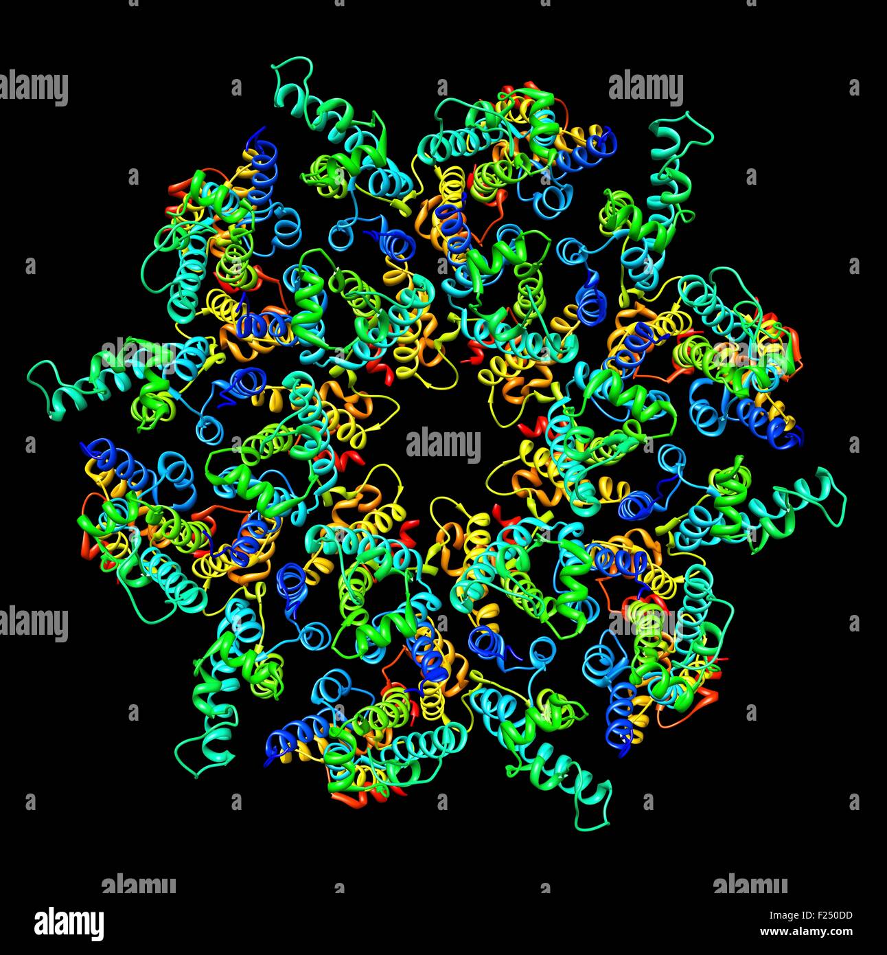 Vue frontale d'une représentation moléculaire de l'immaturité de l'immunodéficience humaine de type 1 (VIH-1) dans la capside du virus intacts une particule. L'assemble de la polyprotéine en une protéine hexamérique lattice à la membrane plasmique de la cellule infectée, l'induction et à la libération d'un bourgeonnement des particules immatures.menant à un réarrangement interne du virus dans la maturité, sous forme de maladies infectieuses. Banque D'Images