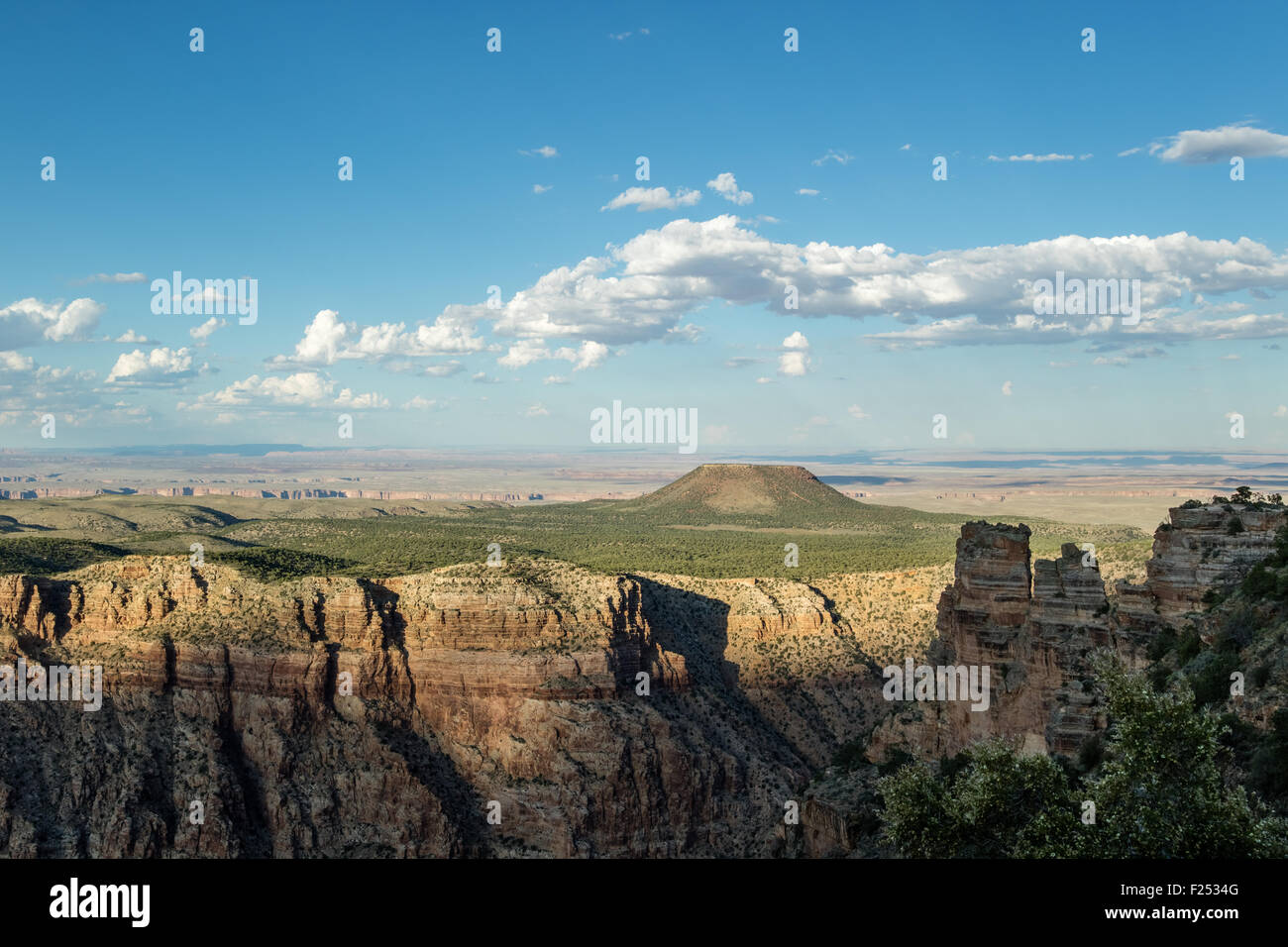 Belle vue sur le Grand Canyon National Park de South Rim, Arizona, USA Banque D'Images