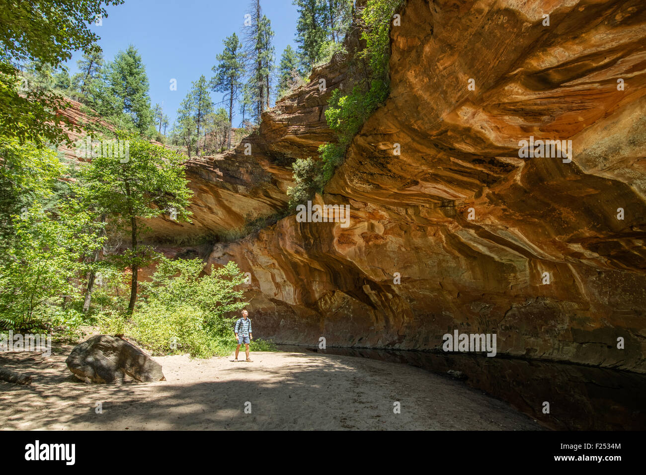 Homme randonnée à travers les plus beaux canyons de Red Rock Canyon National Park Oak Creek à Sedona, États-Unis Banque D'Images