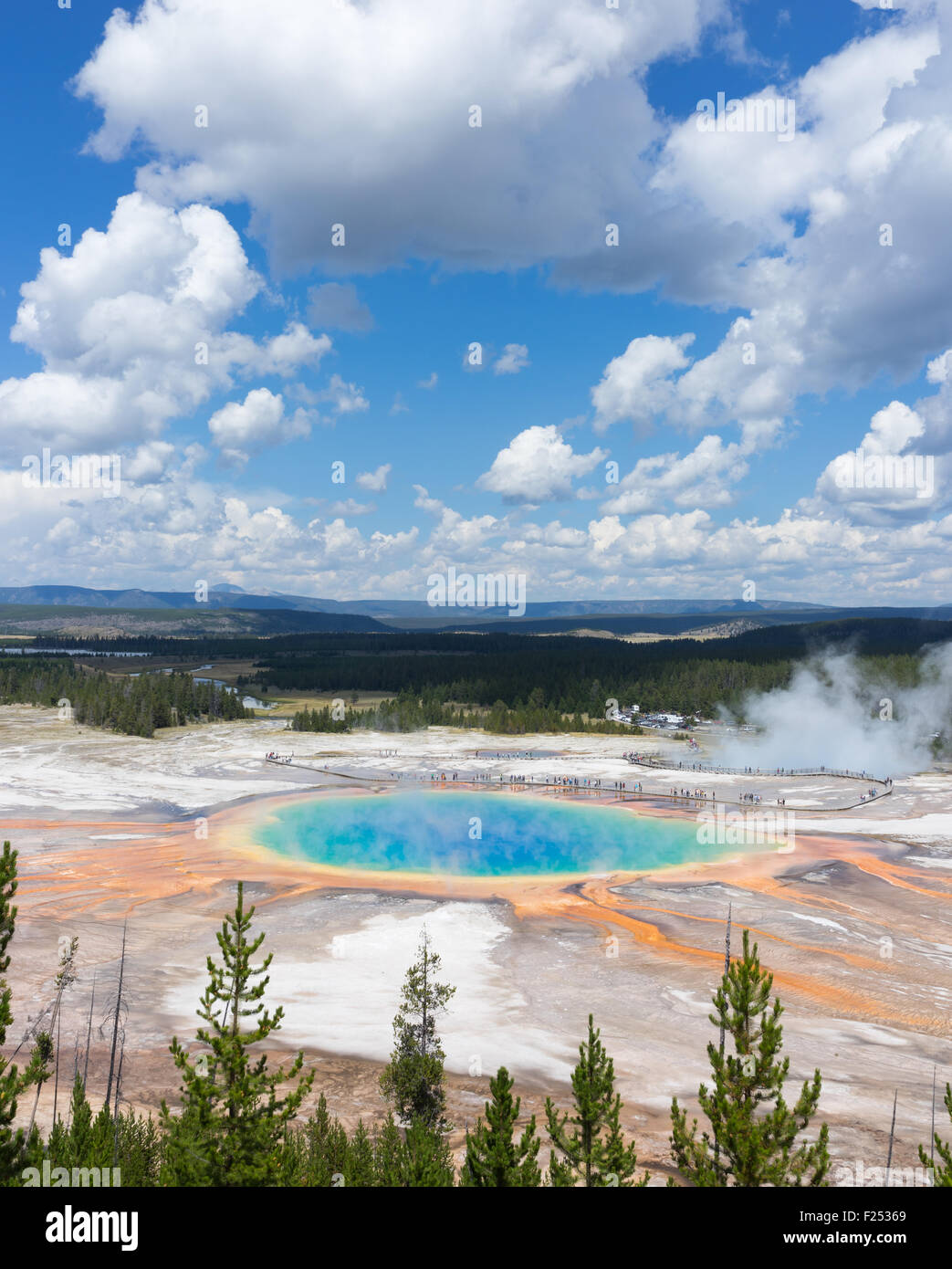 Le Grand Prismatic Spring dans le parc national de Yellowstone et bactéries colorées montrant des geysers de vapeur Banque D'Images