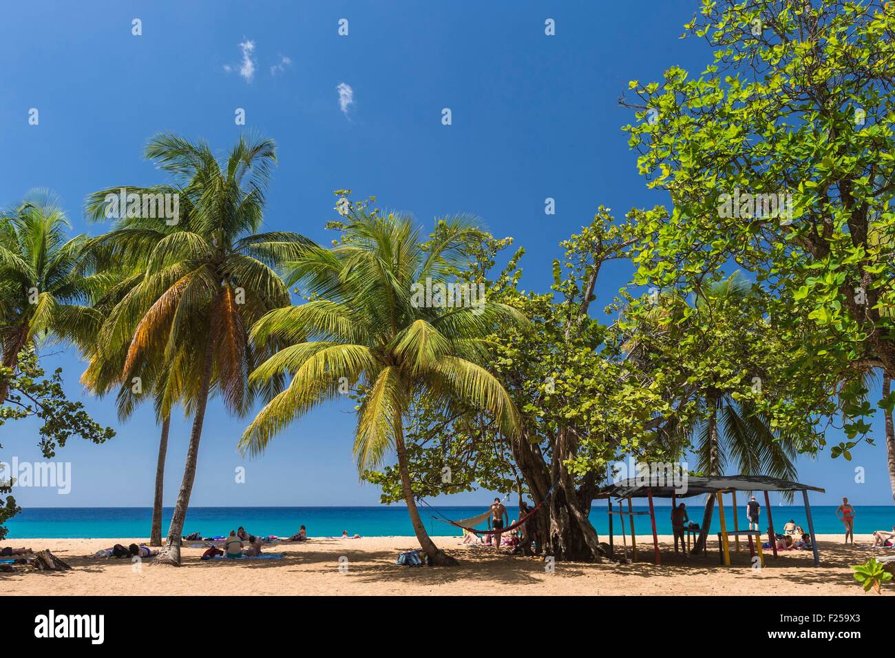 La France, Guadeloupe, Basseterre, Deshaies, plage de Grande Anse Photo Stock Alamy