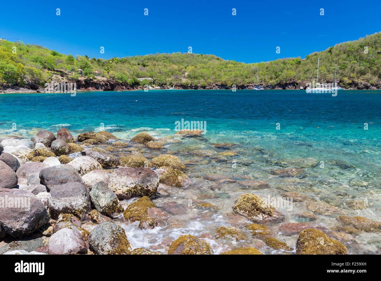 La France, la Guadeloupe (French West Indies), archipel des Saintes, Terre de Bas, Grande Baie Banque D'Images