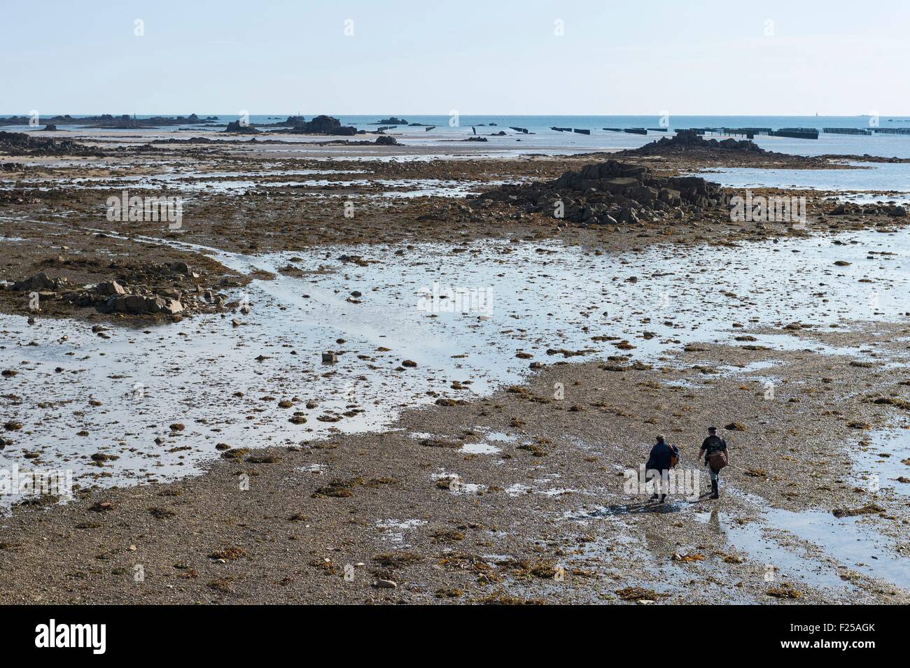 France, Cotes d'Armor, Pleubian, la pêche le long du sillon de Talbert Banque D'Images