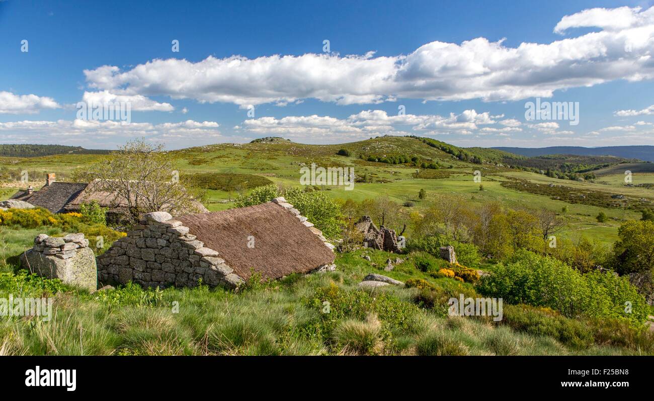 La France, la Lozère, les Causses et les Cévennes, paysage culturel agropastoraux méditerranéens, inscrite au Patrimoine Mondial de l'UNESCO, le Parc National des Cévennes (Parc National des Cévennes), classé réserve de biosphère par l'UNESCO, le Mont Lozère, l'hôpital, le Pont d Banque D'Images
