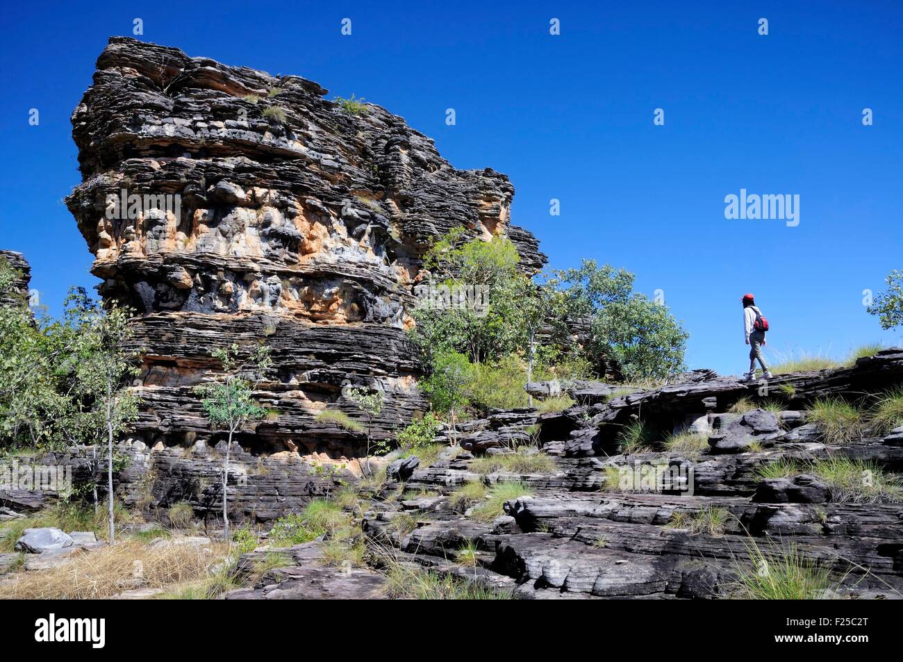 L'Australie, Territoire du Nord, le Parc National de Kakadu classé au Patrimoine Mondial par l'UNESCO, M. Dawa Bardedjilidji (OK) Banque D'Images
