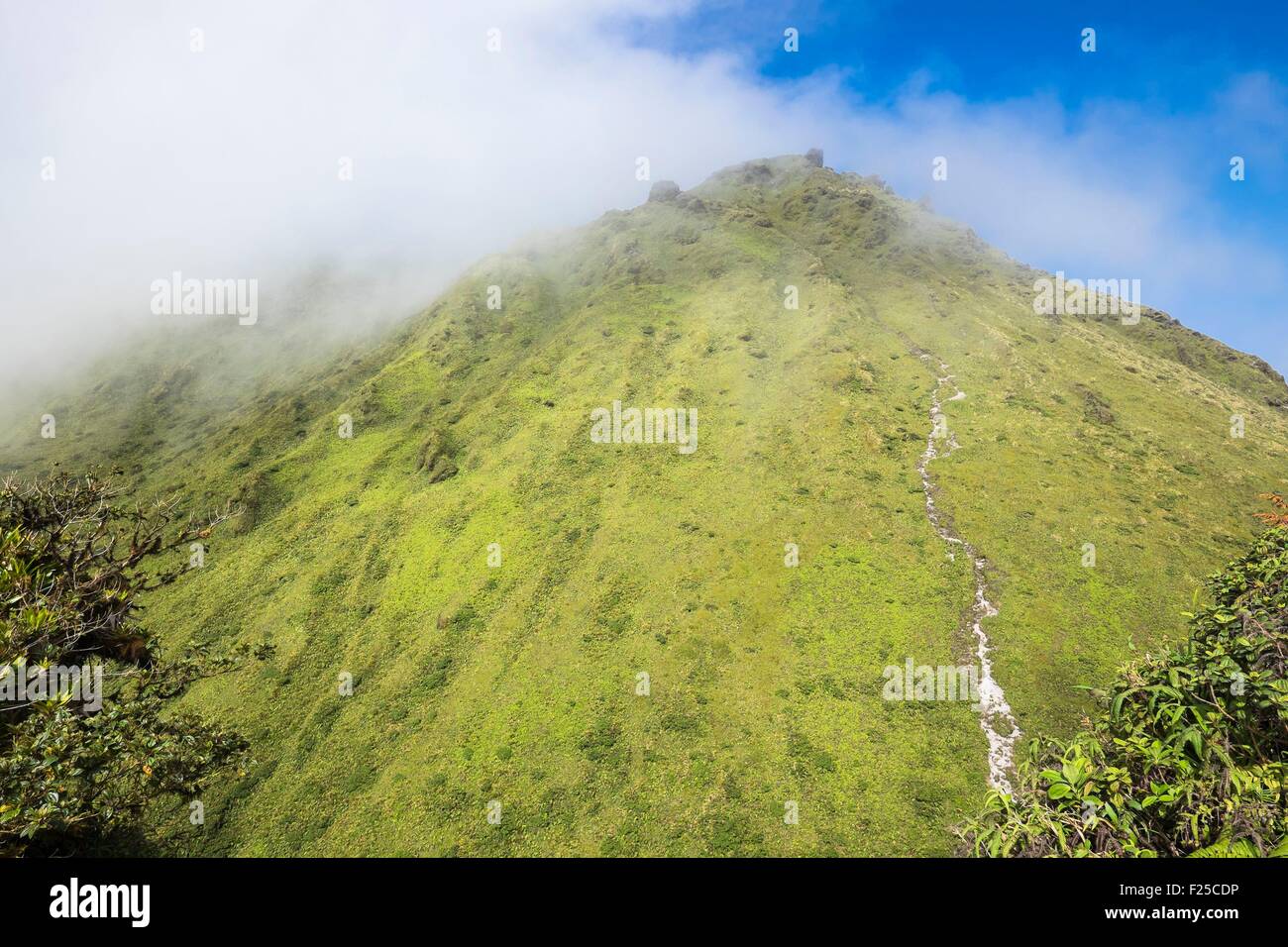 La France, la Martinique, La Montagne Pelée, volcan actif à l'extrémité nord de l'île Banque D'Images