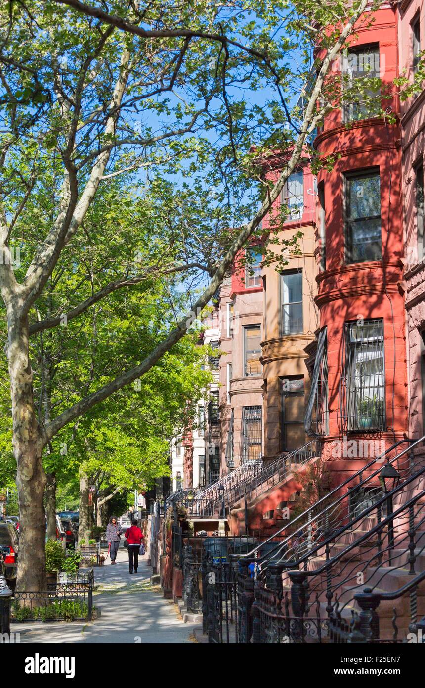 United States, New York, Brooklyn, quartier de Bedford Stuyvesant, Alcatel : lit ses rues ombragées et maisons en grès brun Banque D'Images