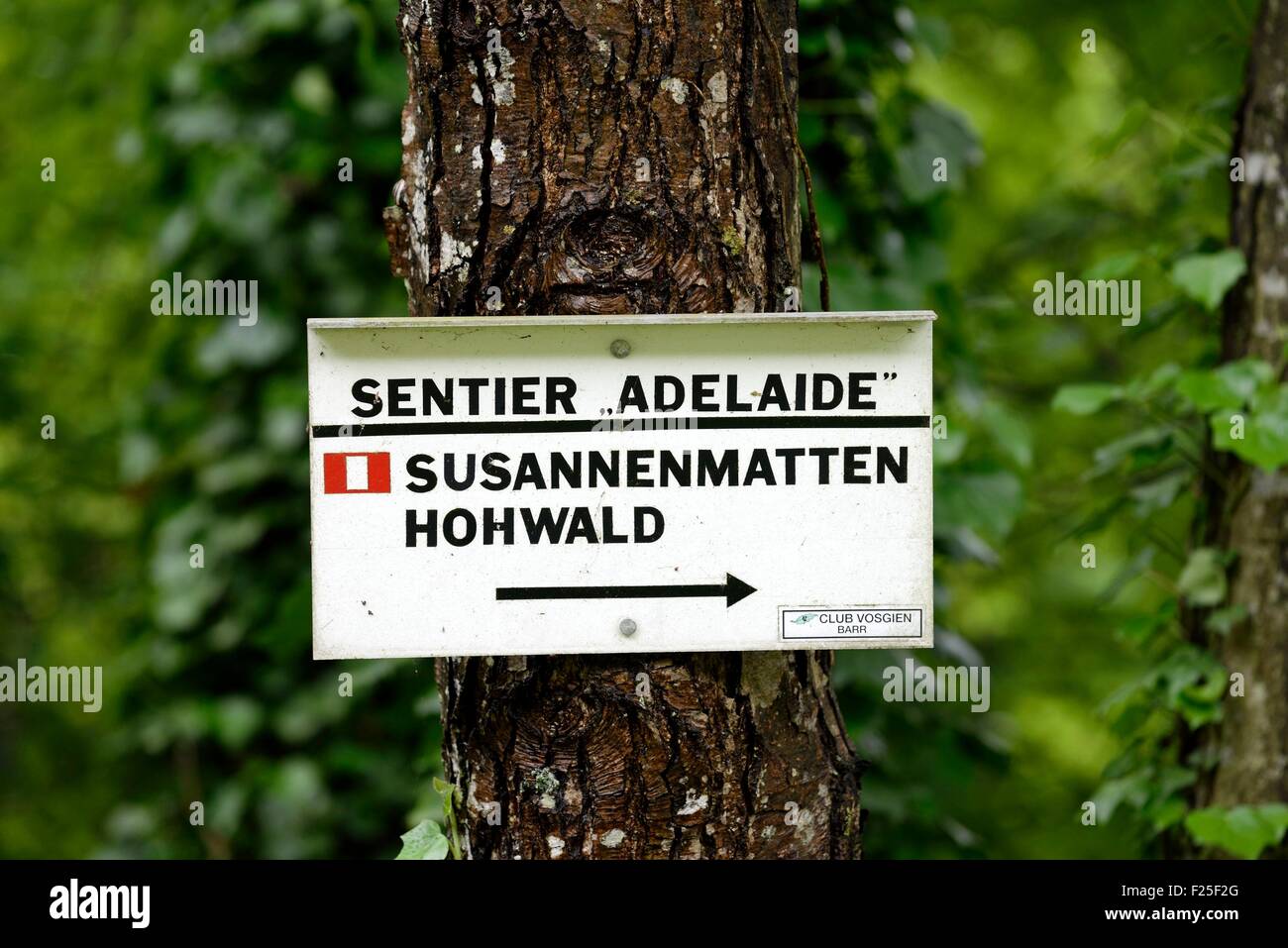 La France Bas Rhin Andlau Panneau De Randonnee Sentier Adelaide Photo Stock Alamy