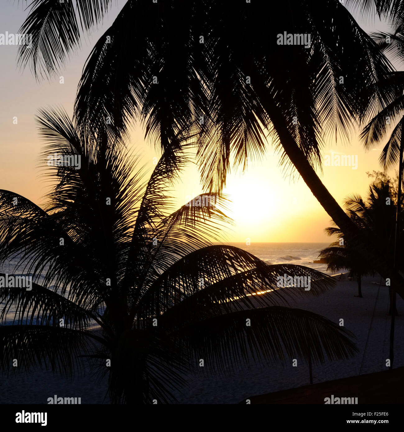 Dover Beach Barbados Coucher du Soleil Banque D'Images